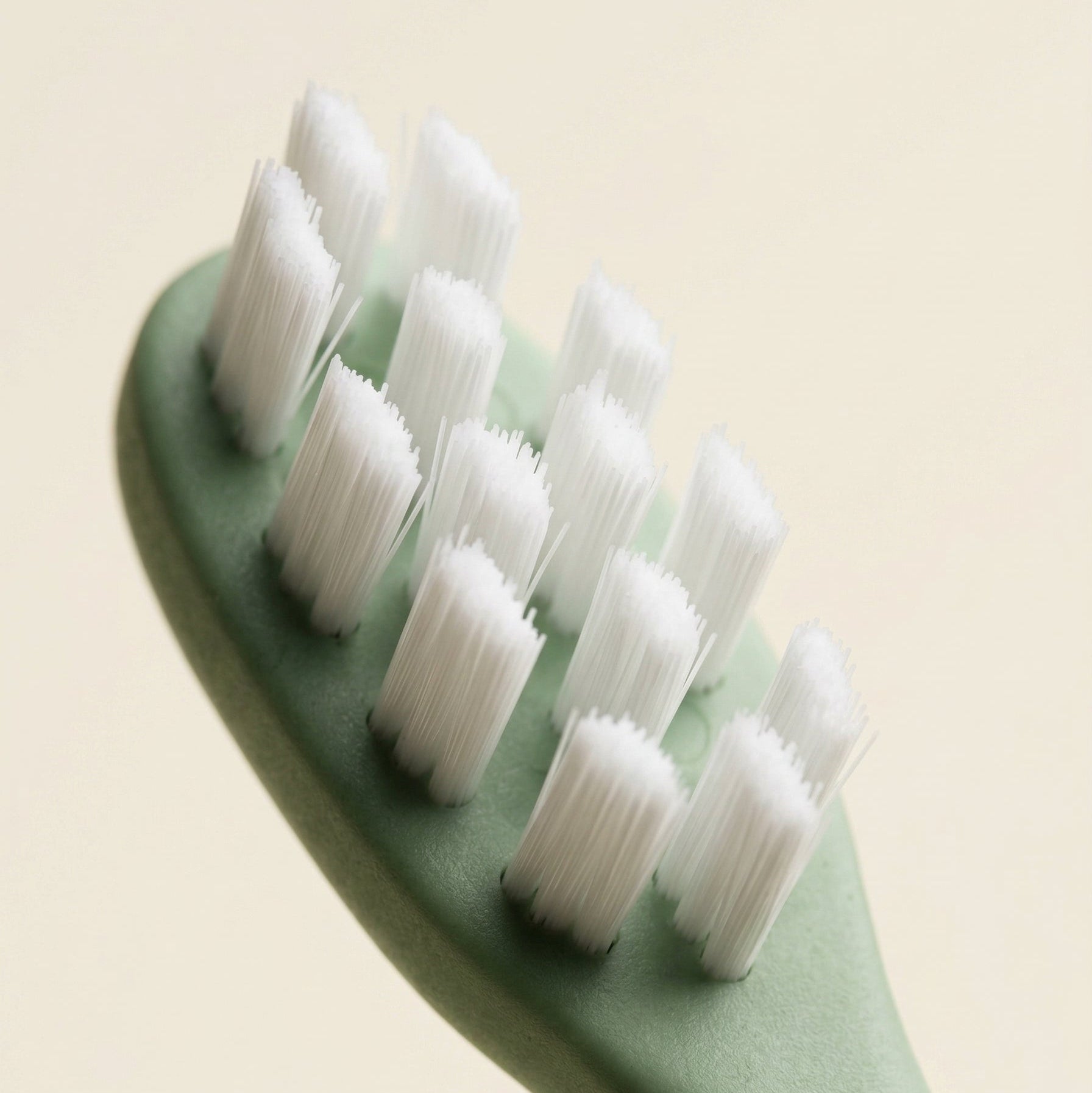 Close-up of Arisson biodegradable brush head bristle detail