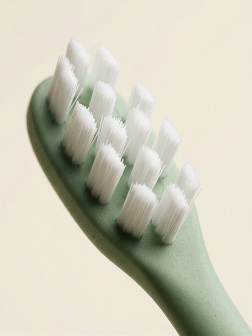 Arisson Sonic Replacement Heads