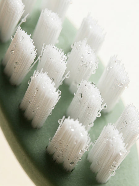 Eco bristles