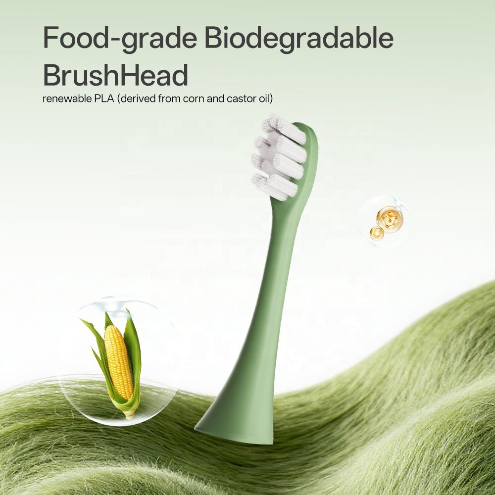 Arisson biodegradable brush heads made from renewable PLA materials